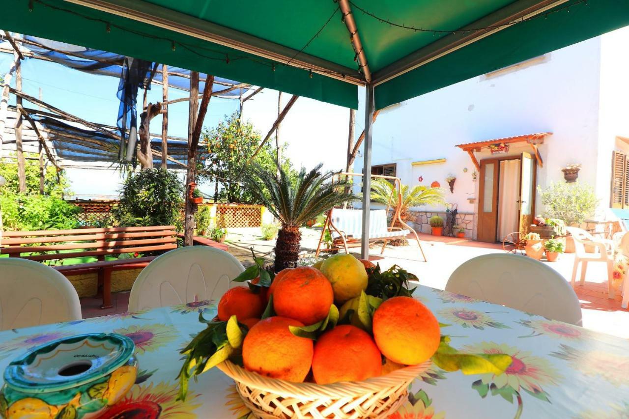 La Maison De Titty & Margherita Piano di Sorrento Esterno foto